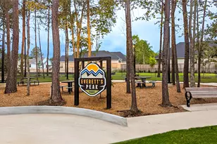 523 Caverna St, Montgomery, TX 77316 - Photo 46