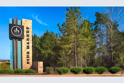 523 Caverna Street, Montgomery, TX 77316 - Photo 44