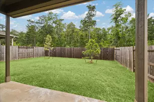 317 Maple Bark Trl, Conroe, TX 77378 - Photo 18