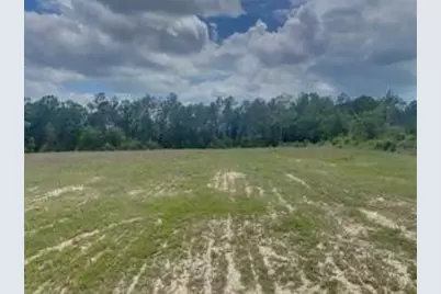 3051 County Road 1700, Warren, TX 77664 - Photo 4