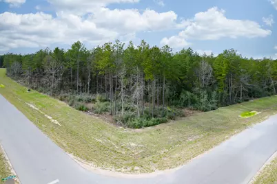 10521 Chapter Drive, Willis, TX 77378 - Photo 12