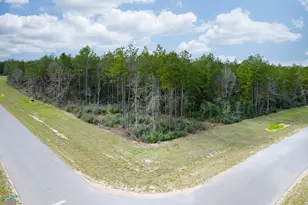 10521 Chapter Dr, Willis, TX 77378 - Photo 12