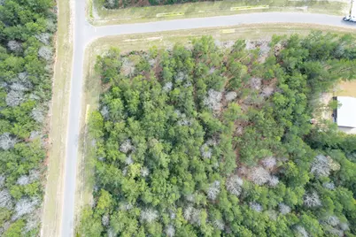 10521 Chapter Drive, Willis, TX 77378 - Photo 10