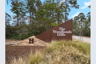 506 Tawny Rim Drive, Willis, TX 77318 - Photo 6