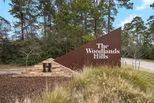 506 Tawny Rim Dr, Willis, TX 77318 - Photo 6