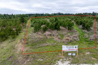 0 Calhoun Ct Tract 170, Lovelady, TX 75851 - Photo 10