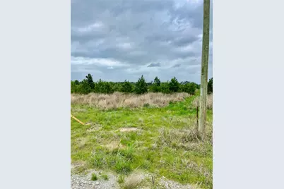 0 Calhoun Ct Tract 170, Lovelady, TX 75851 - Photo 6