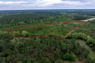 0 Calhoun Ct Tract 170, Lovelady, TX 75851 - Photo 18