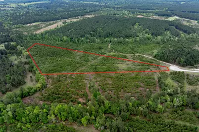 0 Calhoun Ct Tract 170, Lovelady, TX 75851 - Photo 22