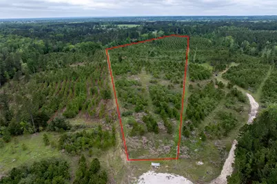 0 Calhoun Ct Tract 170, Lovelady, TX 75851 - Photo 14