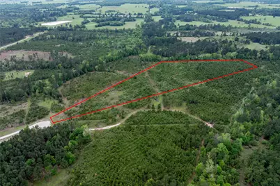 0 Calhoun Ct Tract 170, Lovelady, TX 75851 - Photo 30