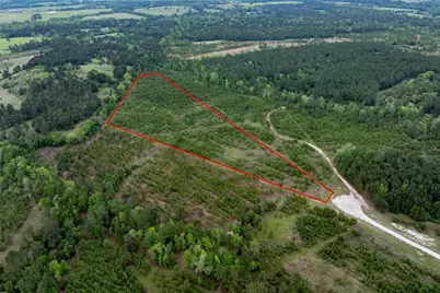 0 Calhoun Ct Tract 170, Lovelady, TX 75851 - Photo 24