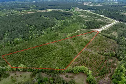 0 Calhoun Ct Tract 170, Lovelady, TX 75851 - Photo 20