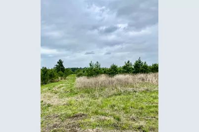 0 Calhoun Ct Tract 170, Lovelady, TX 75851 - Photo 4