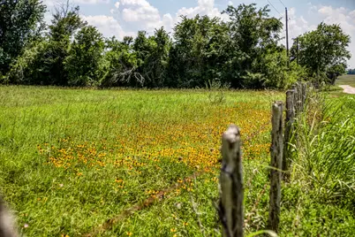 00000 Flat Prairie Road, Washington, TX 77880 - Photo 14
