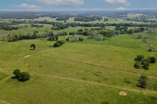 Tract #6 Cr 305 Rd, Navasota, TX 77868 - Photo 1