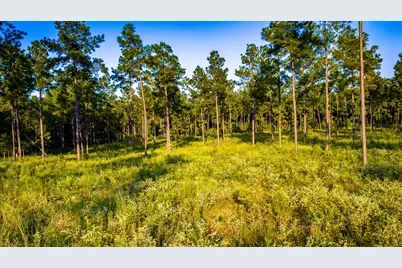1448 Richardson Rd E, Livingston, TX 77351 - Photo 4
