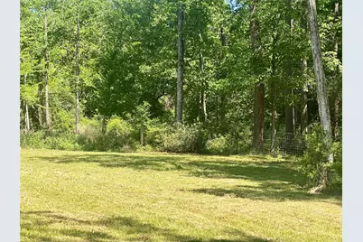 Tr 29 Oak Pine Drive, Livingston, TX 77351 - Photo 4