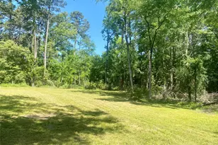 Tr 29 Oak Pine Dr, Livingston, TX 77351 - Photo 1