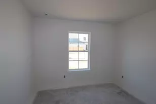 3407 Silvery Bryum Dr, Rosenberg, TX 77471 - Photo 16