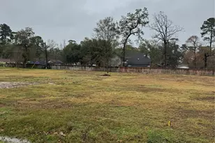 1619 Sungail Dr, Spring, TX 77386 - Photo 2