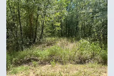 Tbd Cr 4545, Kennard, TX 75847 - Photo 4
