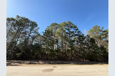 272303 Hitching Post Court, Magnolia, TX 77355 - Photo 4