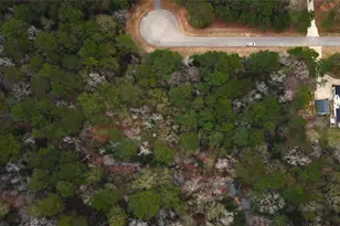 272303 Hitching Post Ct, Magnolia, TX 77355 - Photo 10