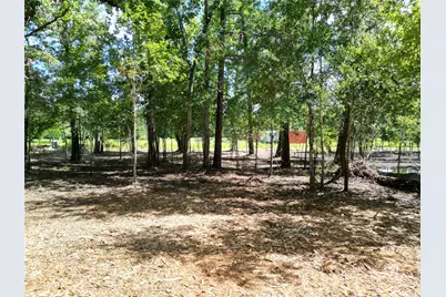 000 Red Oak Drive, Plantersville, TX 77363 - Photo 14