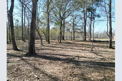 000 Red Oak Drive, Plantersville, TX 77363 - Photo 8