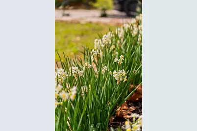 10042 Lazy Oaks Street, Houston, TX 77080 - Photo 6