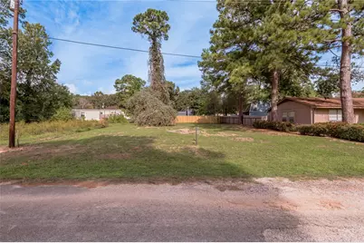 365 Pinemont Drive, Point Blank, TX 77364 - Photo 4