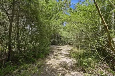 11430 Long Trussel Road, Bryan, TX 77808 - Photo 38
