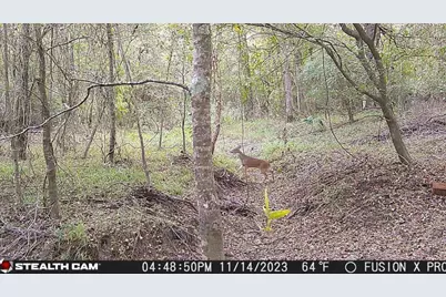 Na Cherokee Trail, Lovelady, TX 75851 - Photo 6
