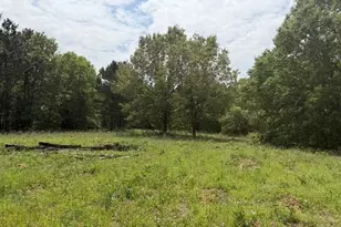 Na Cherokee Trail, Lovelady, TX 75851 - Photo 1