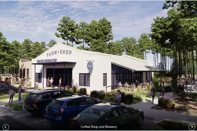 8667 Jam Session Drive, Montgomery, TX 77316 - Photo 16