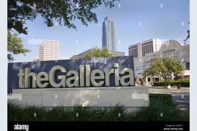 5110 W Oak Mews, Houston, TX 77056 - Photo 36