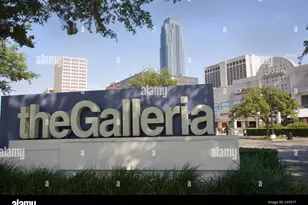 5110 W Oak Mews, Houston, TX 77056 - Photo 36