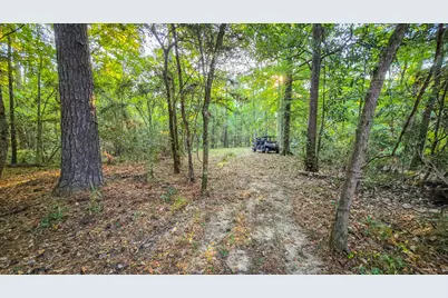 Tbd Butler Road, Livingston, TX 77351 - Photo 24