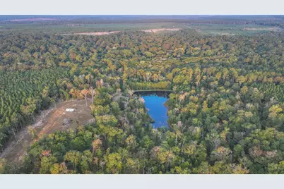Tbd Butler Road, Livingston, TX 77351 - Photo 22