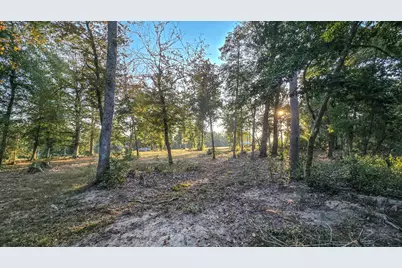 Tbd Butler Road, Livingston, TX 77351 - Photo 16