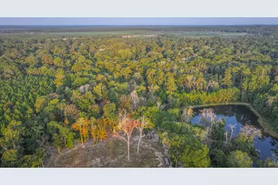 Tbd Butler Road, Livingston, TX 77351 - Photo 38