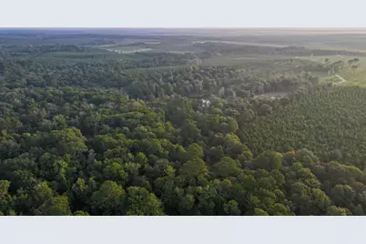 Tbd Butler Road, Livingston, TX 77351 - Photo 36