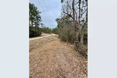 Lot 69 Wildwood Harbor Circle, Onalaska, TX 77360 - Photo 4