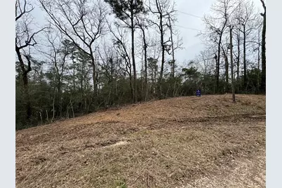 Lot 69 Wildwood Harbor Circle, Onalaska, TX 77360 - Photo 2