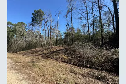 Lot 69 Wildwood Harbor Circle, Onalaska, TX 77360 - Photo 16