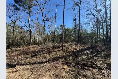 Lot 69 Wildwood Harbor Circle, Onalaska, TX 77360 - Photo 14
