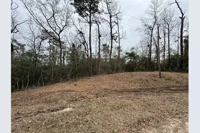 Lot 69 Wildwood Harbor Circle, Onalaska, TX 77360 - Photo 8