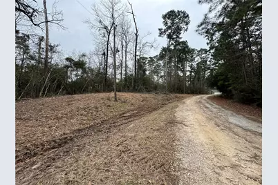 Lot 69 Wildwood Harbor Circle, Onalaska, TX 77360 - Photo 6