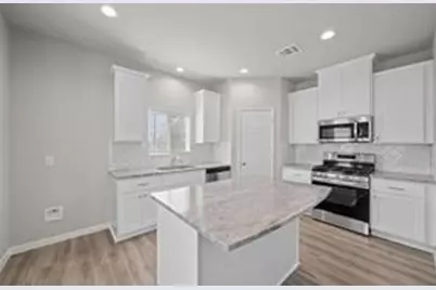 24709 White Libertia Court, Houston, TX 77336 - Photo 6